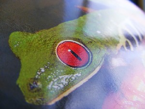 biblioteca 052 copy.jpg